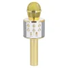 Karaoke Mikrofon, Gold, 23 Cm