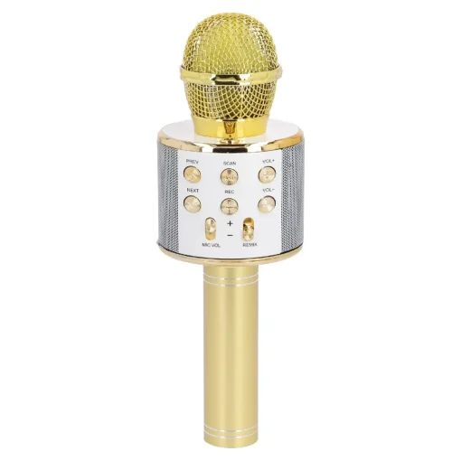 Karaoke Mikrofon, Gold, 23 Cm