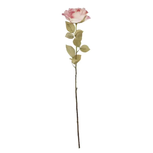 Rose Theresa, Rosa, 63 Cm